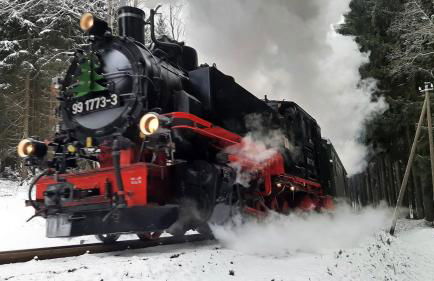 Fewo an der Teufelskanzel - Foto 42