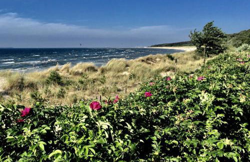 Waldhaus am Meer - Foto 24