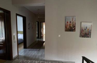 Η Αυλή - Photo 47