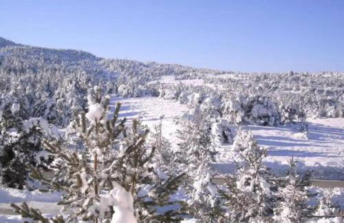 Parenthèse des cimes - Nature & Évasion - Foto 13