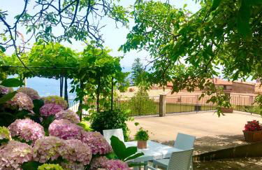 Il Ciliegio - Foto 7