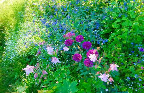 Natururlaub Frankenau - Foto 17