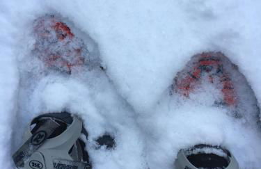 Casa Tifra - Photo 42