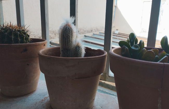 Thomas'home - Foto 25