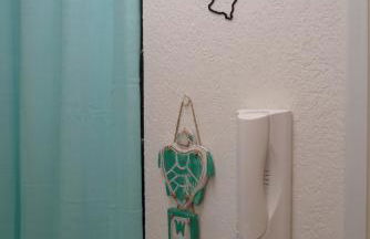 Nidu Accogliente in Balagna - Foto 29