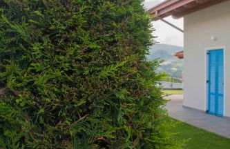 Apartment in NOVELLA 41460 - Photo 42