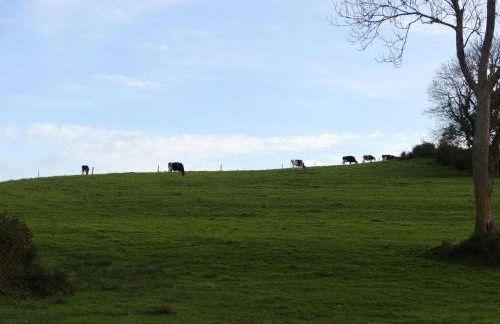 Maison de vacances 3 chambres à 400 m de la plage Kairon - Saint Pair sur mer - Foto 42
