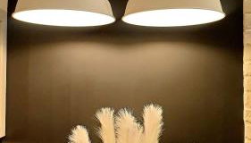 Lividus Czarna Mewa - Foto 4