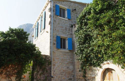 Villa Jatica - Photo 79