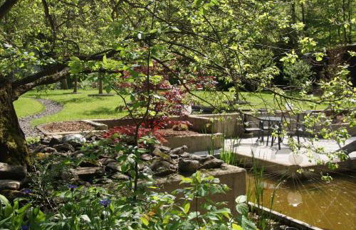 Ferienwohnung "Mosel" - Foto 39