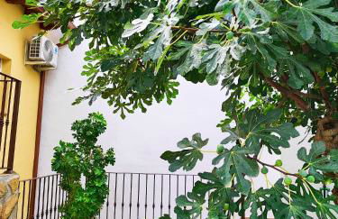 La casita de Ra - Foto 8