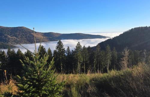 Chalet Le DRUZIA at 1000 m - Foto 41