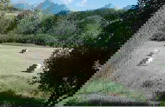 Agriturismo La Praduscella - Foto 28