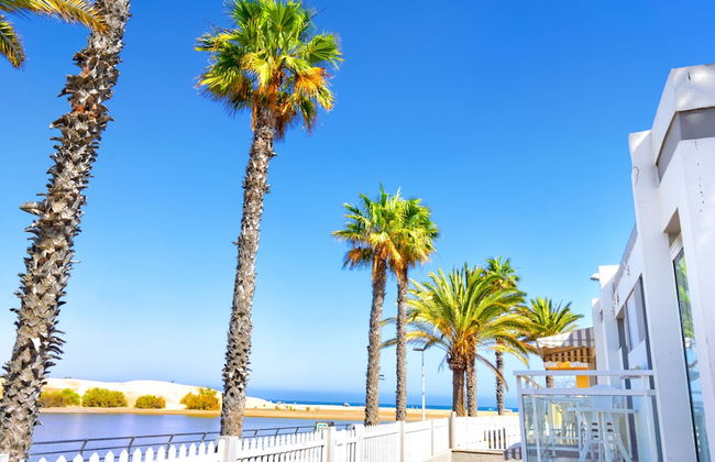 Apartamentos Tamara - Foto 50