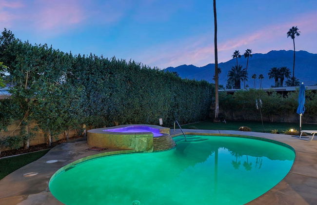 The Palms- Pool Jacuzzi and Pet Friendly - Photo 79