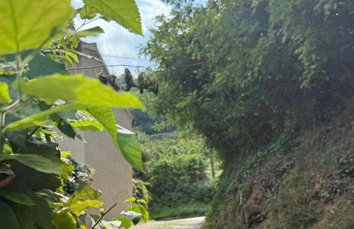 Villa Maison Ellen - Luxury Garden, Colli Euganei - Foto 4