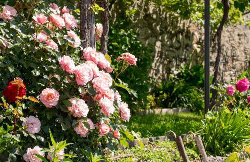 Villa Paradiso - Foto 37