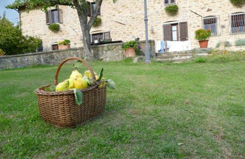 Agriturismo Braccicorti - Foto 64