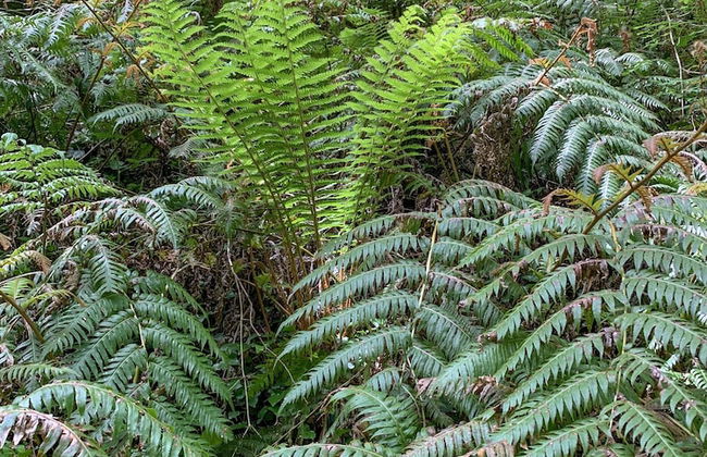 Tenuta Novecento Bio Agriturismo - Foto 51