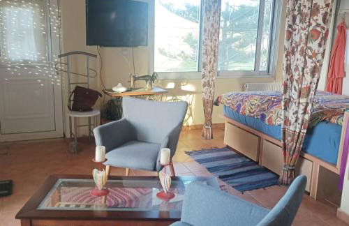 Kyllini am Meer relaxen mit Hund - Foto 10