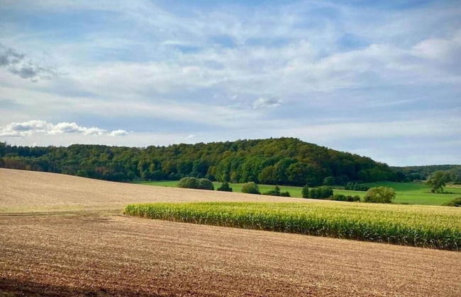 Apartment in Twistetal Oberwaroldern - Foto 33