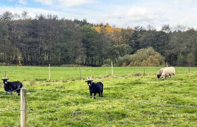 Holiday Home in Brastad - Foto 5