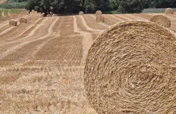 Agriturismo La Corte Sul Lago - Foto 6