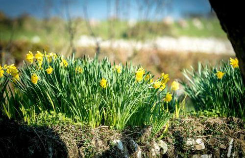 2 Bed in Rhiw oc-staelr - Foto 24