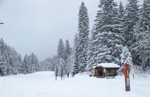 Au Coeur de Prémanon - Foto 26