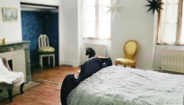 2 chambres 88m2 Extra centre historique Cahors vaste appartement convivial et cosy - Photo 2