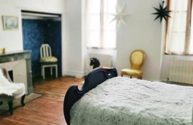 2 chambres 88m2 Extra centre historique Cahors vaste appartement convivial et cosy - Photo 2