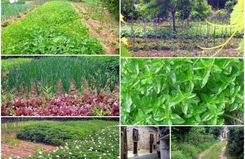 Pure Mountain - Serra da Estrela - Foto 20