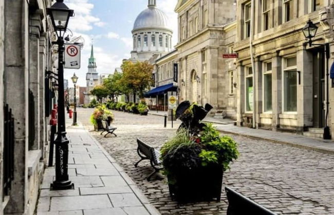 Montreal Artist Loft - Champs - Photo 26