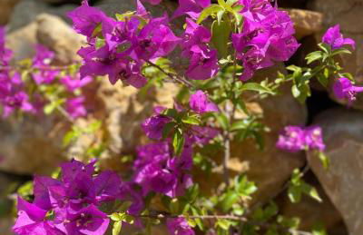 Casa de Olivos - Unique Apartments - Adult Only - Foto 40