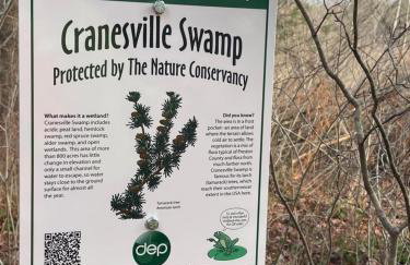 Appalachian Haven - Mountain Views - Vet Owned - Foto 30