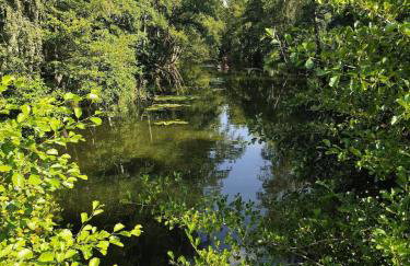 Modrzewiowy Zakątek z balią - Foto 51