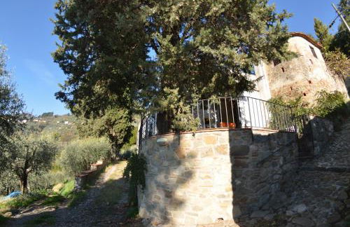 La Cipressa - Foto 21