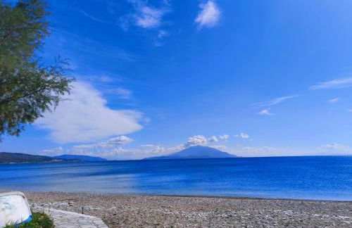 Ireon Holiday Home - Foto 3