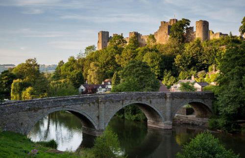 Topsy-Turvy, Gardeners Cottage, Clungunford, Ludlow, Shropshire SY70PN - Foto 12