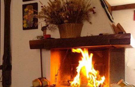 Charming, cozy, and bright apartment - Photo 16