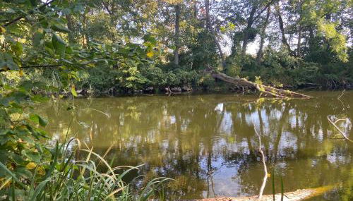 Gästesuite „Torfstich“ - Foto 4