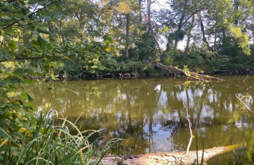 Gästesuite „Torfstich“ - Foto 4