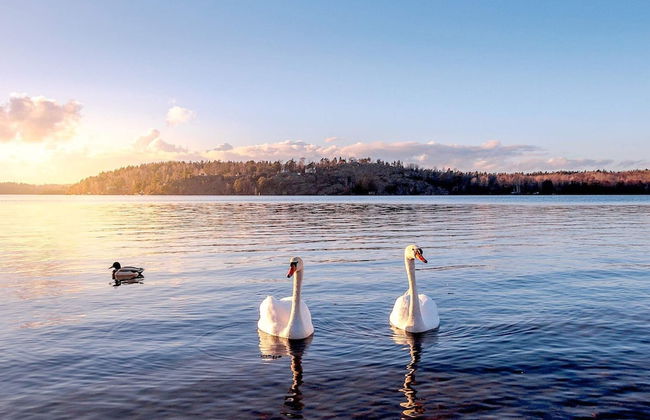 4 Person Holiday Home in Bromma-by Traum - Photo 10