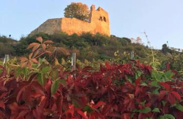 Apartment Kapellennest EuropaPark in ca 15 min erreichbar - Foto 34