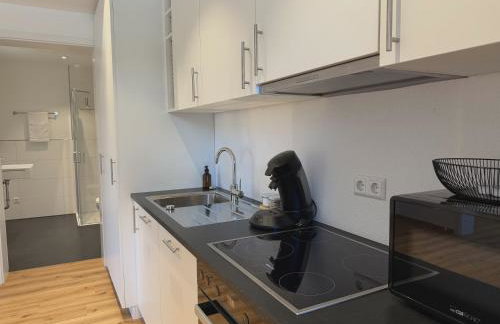 Parkside Apartments - Studios & Penthouses nahe Legoland Günzburg - Foto 73