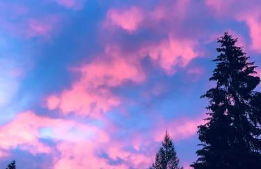 Chalet dell'Orso - Foto 32