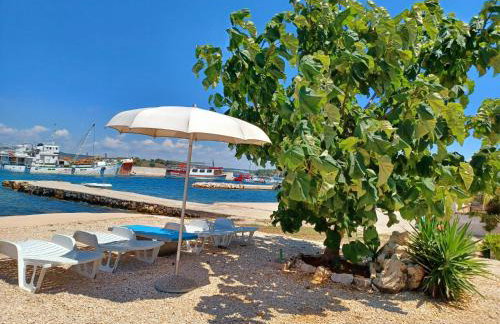 House GITA - Photo 12