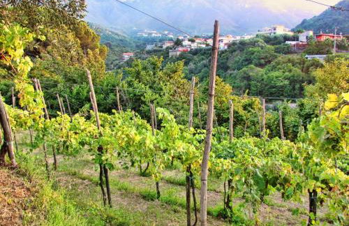 Comfortable apartment in Gragnano 45 m² with quiet balcony - Foto 31