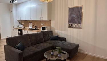 BoleslaviaApartments - Apartament Merci 2, parking free, air conditioning - Foto 2