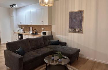 BoleslaviaApartments - Apartament Merci 2, parking free, air conditioning - Foto 2